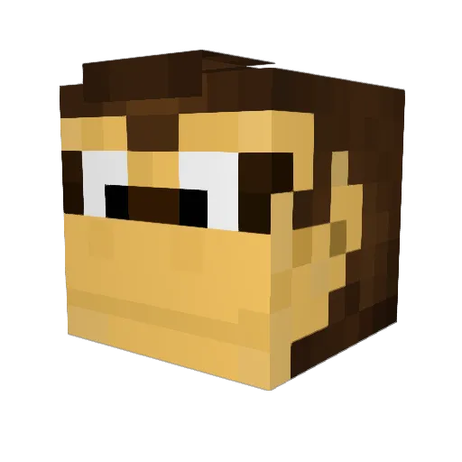 Bershwitzl Minecraft avatar head, 3D render