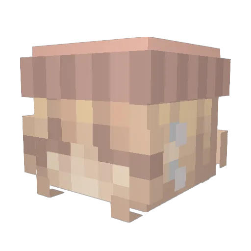 Bert0__0 Minecraft avatar head, 3D render