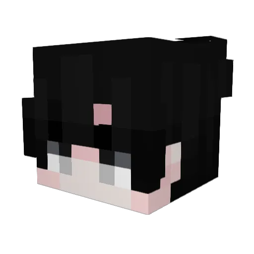 Bertachi Minecraft avatar head, 3D render
