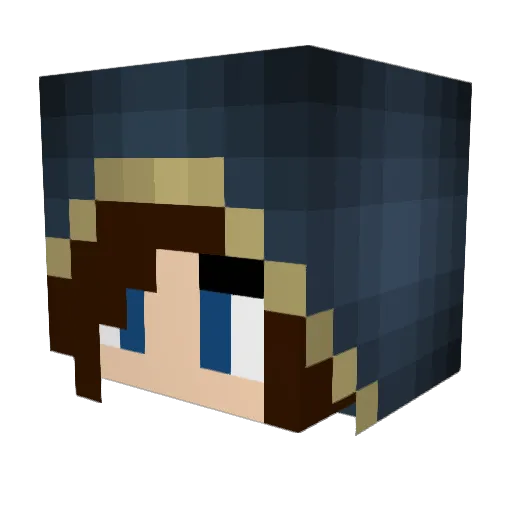 Bertie_Botts Minecraft avatar head, 3D render