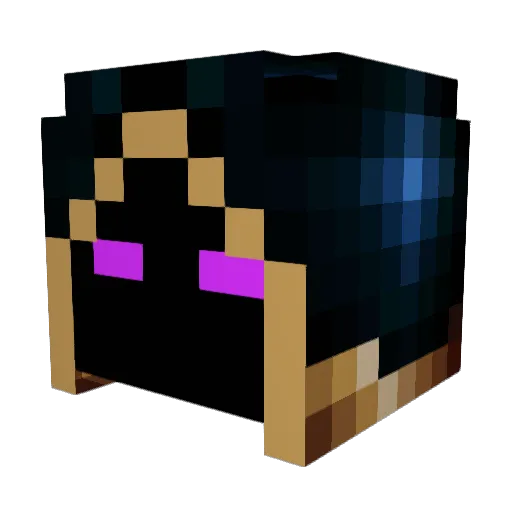 Bertje21 Minecraft avatar head, 3D render