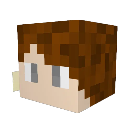 Berto036 Minecraft avatar head, 3D render