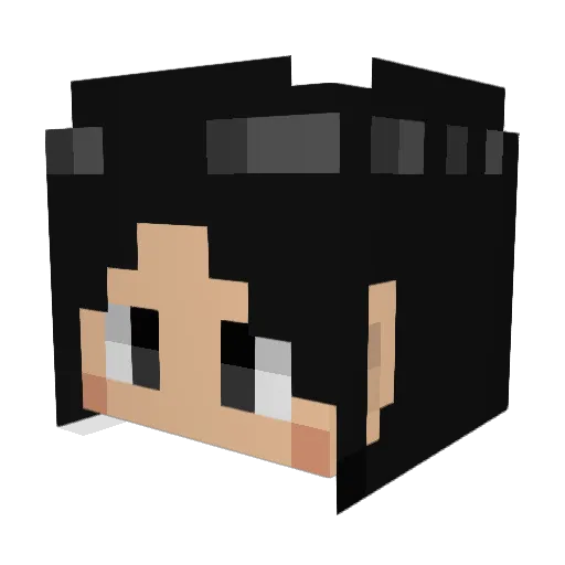 Bertu_NL Minecraft avatar head, 3D render