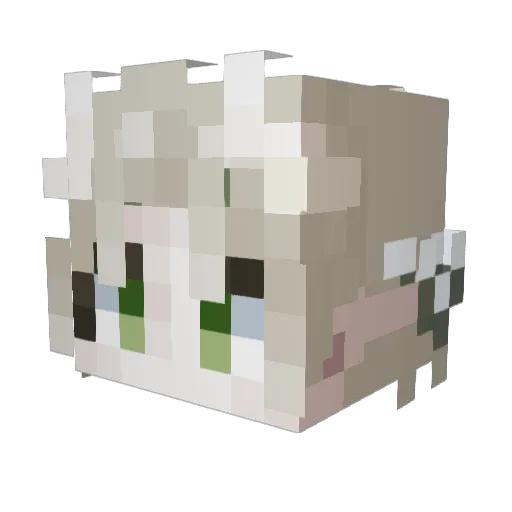 Beru_naru Minecraft avatar head, 3D render