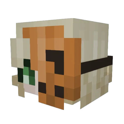 Beruruun Minecraft avatar head, 3D render