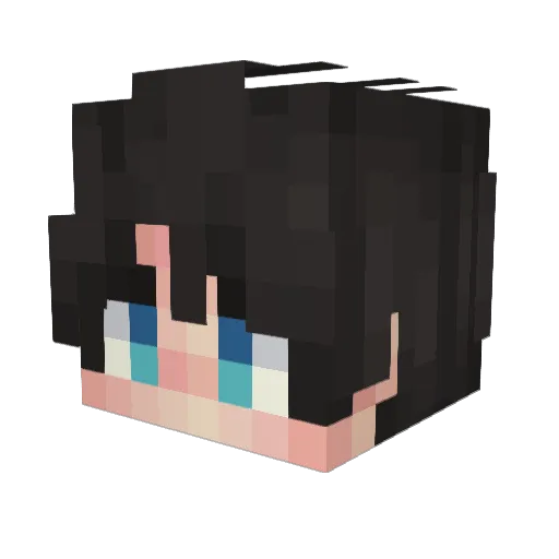 Berus1 Minecraft avatar head, 3D render