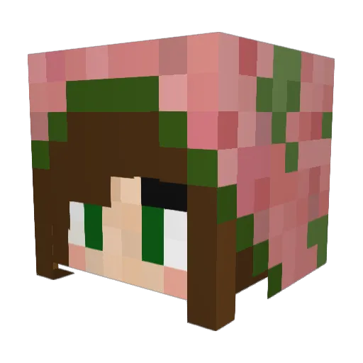 Bes_x Minecraft avatar head, 3D render