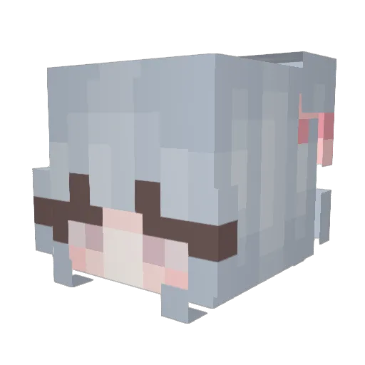 Beserker124 Minecraft avatar head, 3D render