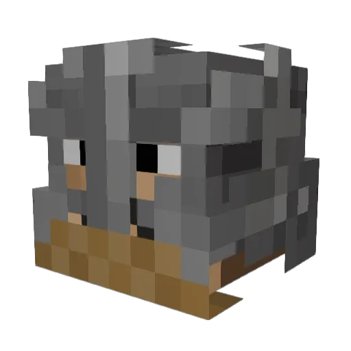 Beserker1895 Minecraft avatar head, 3D render