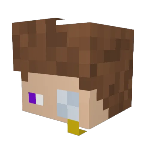 Besichtiger Minecraft avatar head, 3D render