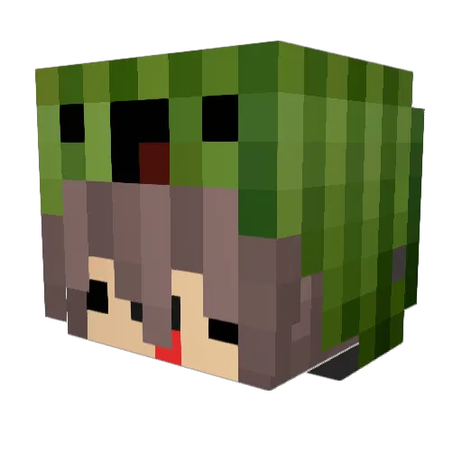 BesoffeneMelone Minecraft avatar head, 3D render