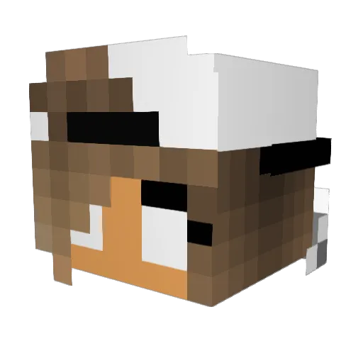 Bessa Minecraft avatar head, 3D render