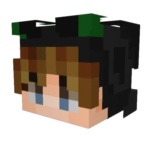 Bessemaster Minecraft avatar head, 3D render