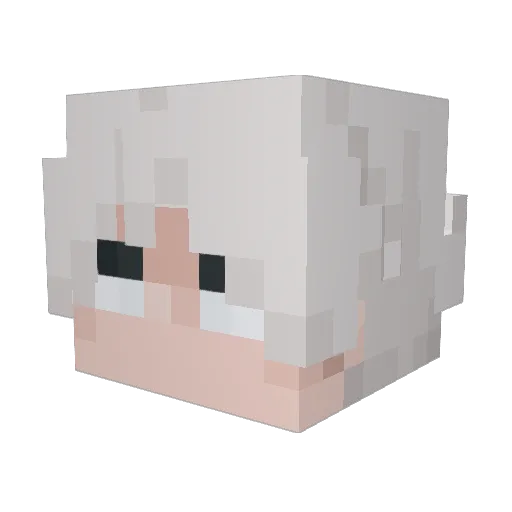 Best0l0ch Minecraft avatar head, 3D render