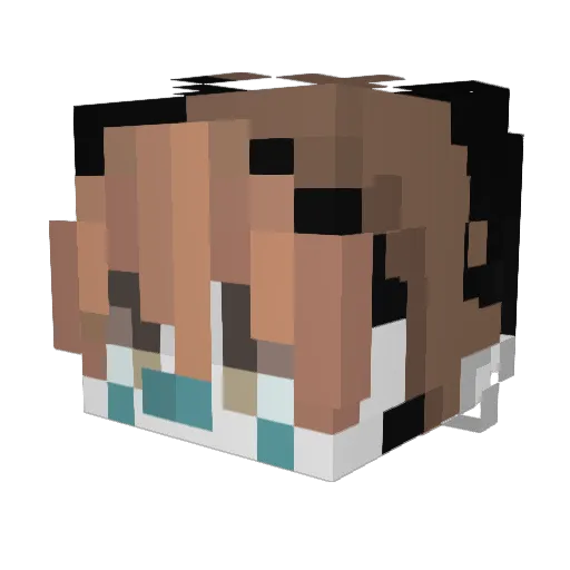 Best22332 Minecraft avatar head, 3D render