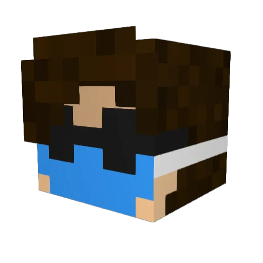 BestAtBoxing Minecraft avatar head, 3D render