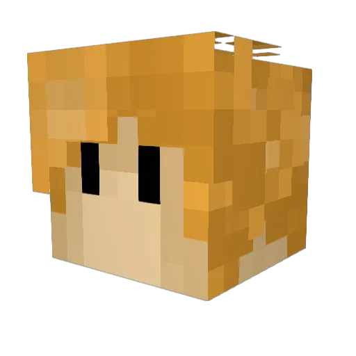BestBetty Minecraft avatar head, 3D render