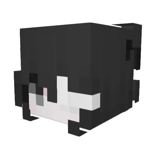 BestLax Minecraft avatar head, 3D render