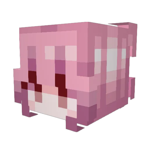 BestOfAfrica Minecraft avatar head, 3D render