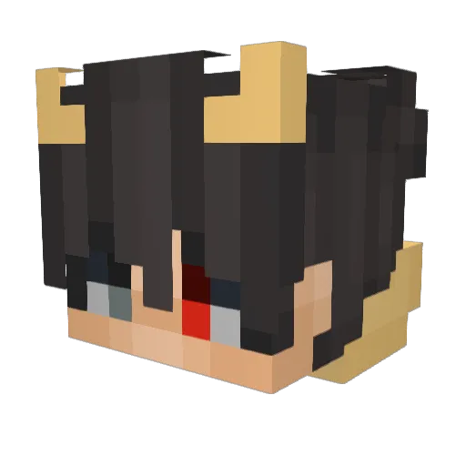 BestSadx_ Minecraft avatar head, 3D render