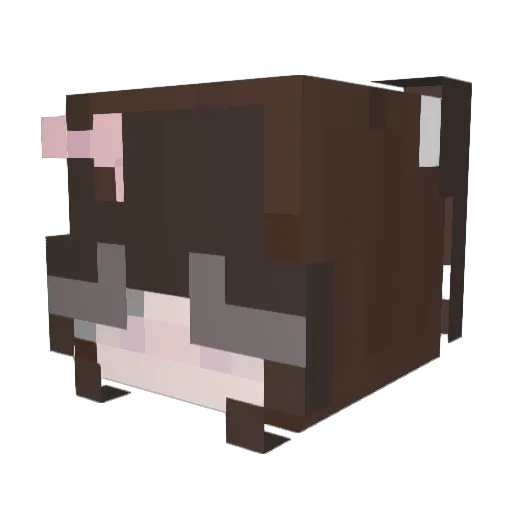 BestSushiMine Minecraft avatar head, 3D render