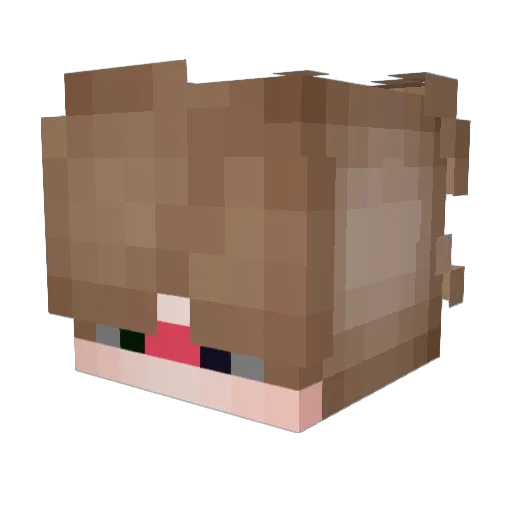 BestSwearky Minecraft avatar head, 3D render
