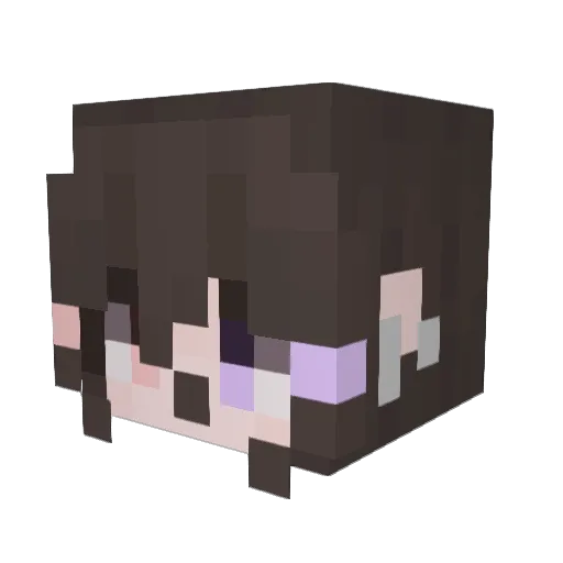 BestTransgender Minecraft avatar head, 3D render