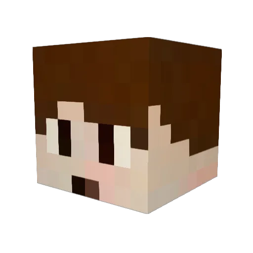 BestTwink Minecraft avatar head, 3D render