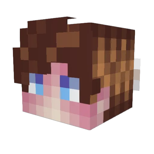 BestVagrant Minecraft avatar head, 3D render