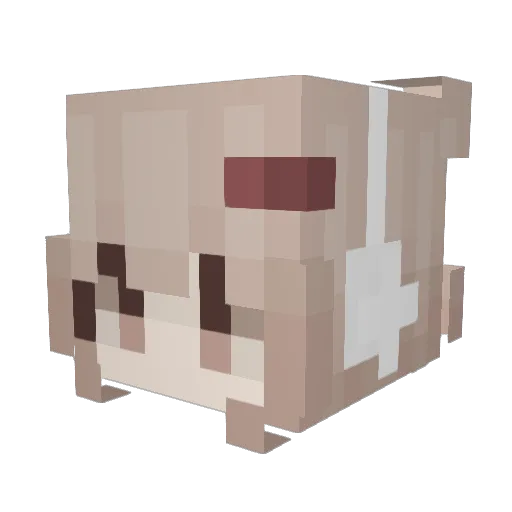 BestWER Minecraft avatar head, 3D render