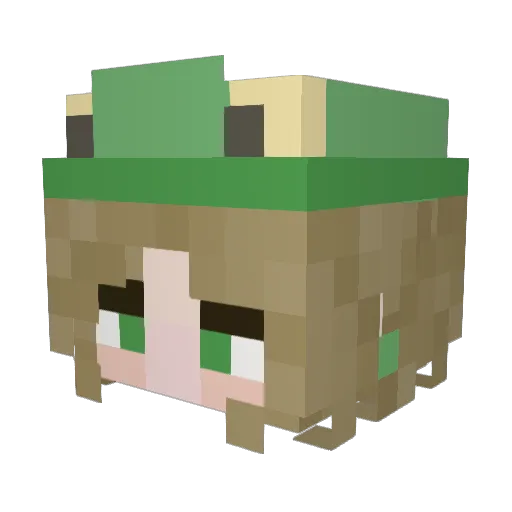 Best_Frog Minecraft avatar head, 3D render