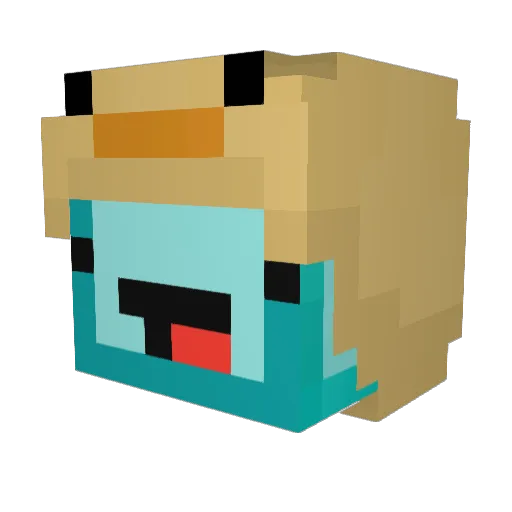 Best_MDMA Minecraft avatar head, 3D render