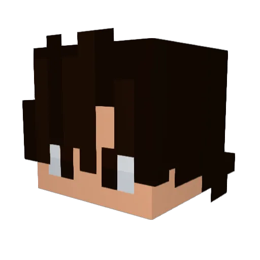 Bestbucket Minecraft avatar head, 3D render