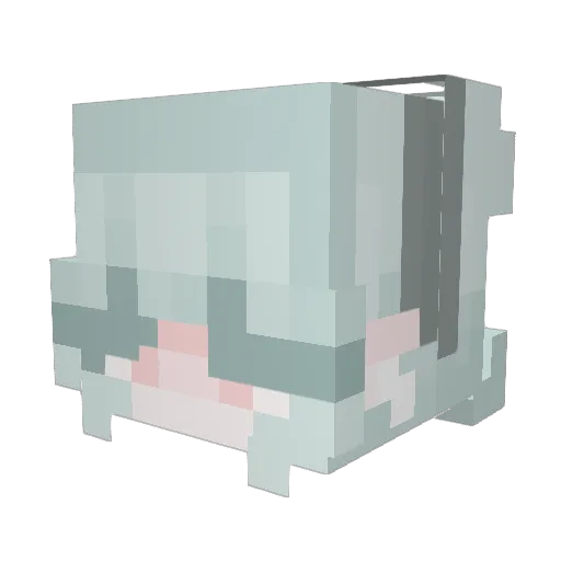 Bestbuilder1 Minecraft avatar head, 3D render