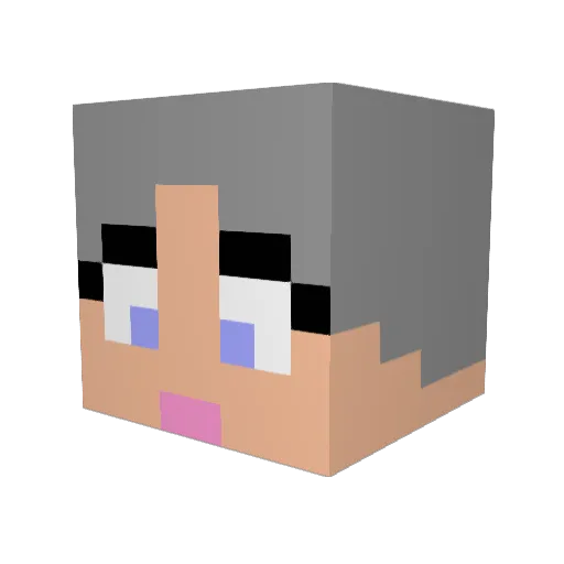 BestemorsFreund Minecraft avatar head, 3D render