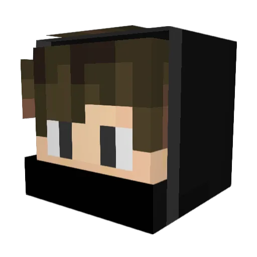 Bestgamer018 Minecraft avatar head, 3D render
