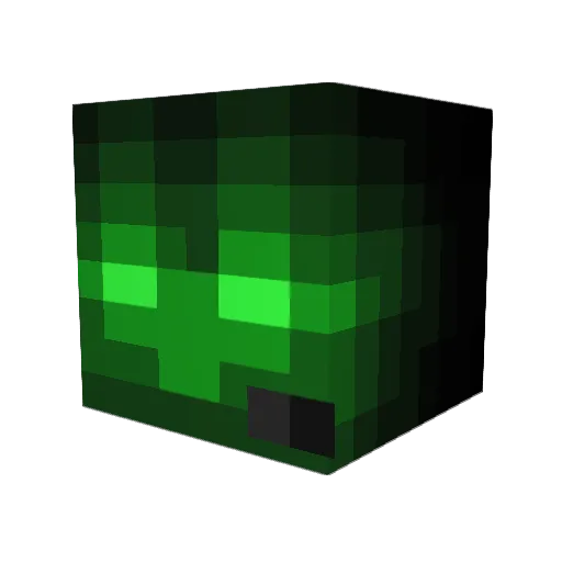BestnothingNA Minecraft avatar head, 3D render