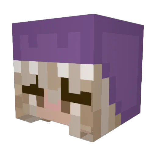 Bestnova09 Minecraft avatar head, 3D render