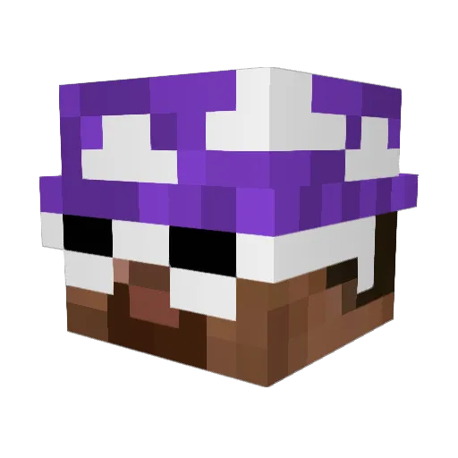 Bestofsurray Minecraft avatar head, 3D render