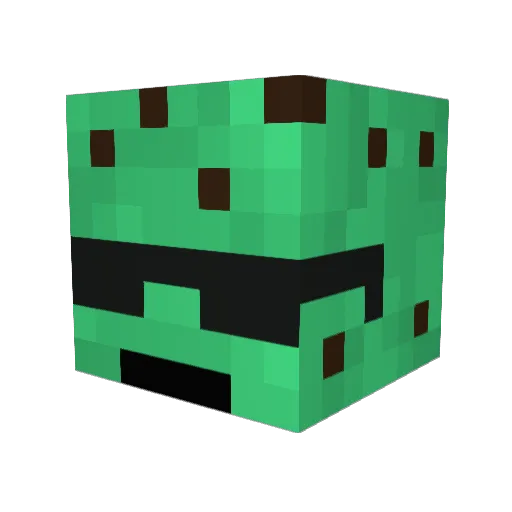 Bestplayer20 Minecraft avatar head, 3D render