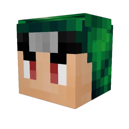 Besttest2007 Minecraft avatar head, 3D render