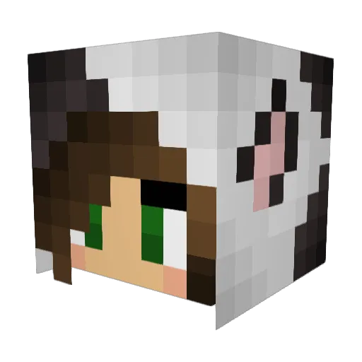 Bet_Spaghet Minecraft avatar head, 3D render