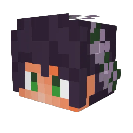 Beta0360 Minecraft avatar head, 3D render