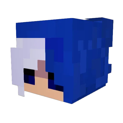 BetaFish1012 Minecraft avatar head, 3D render