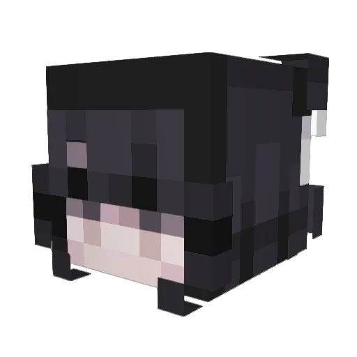 BetaFive Minecraft avatar head, 3D render