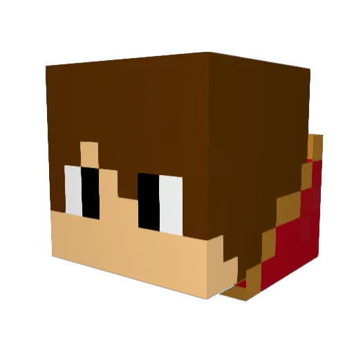 BetaFly Minecraft avatar head, 3D render