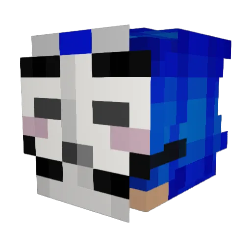 BetaHackerTv Minecraft avatar head, 3D render