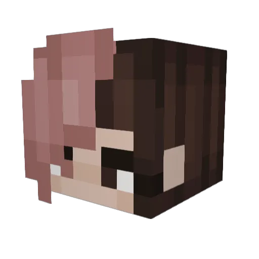 BetaWarg Minecraft avatar head, 3D render