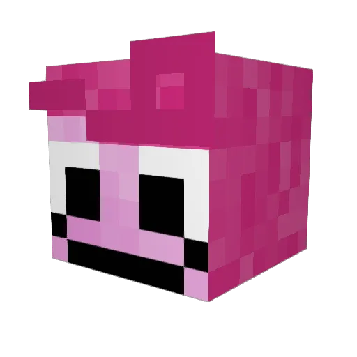Betcam11 Minecraft avatar head, 3D render