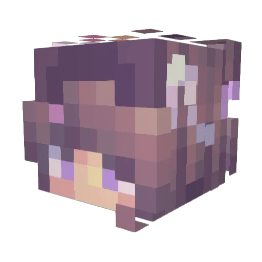 BethXVoid19 Minecraft avatar head, 3D render